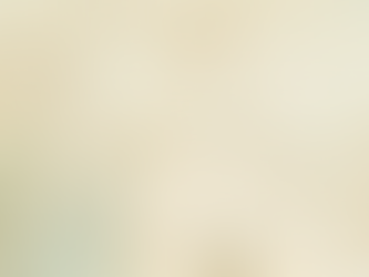 Rastreo predial de las Tierras y de la Casa Museo del Pantano de Vargas antes de la Batalla. Robert Ojeda Pérez