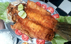 WhatsApp Image 2026-03-06 at 20.36_edited