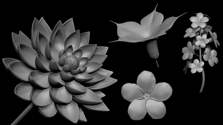 WixModV03_03.png
