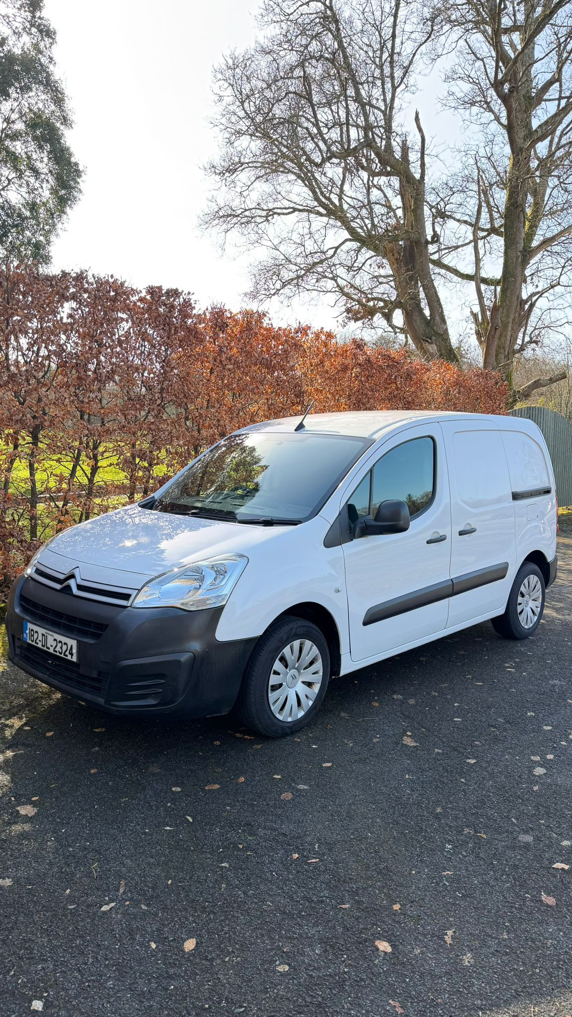 Citreon Berlingo Enterprise 2018