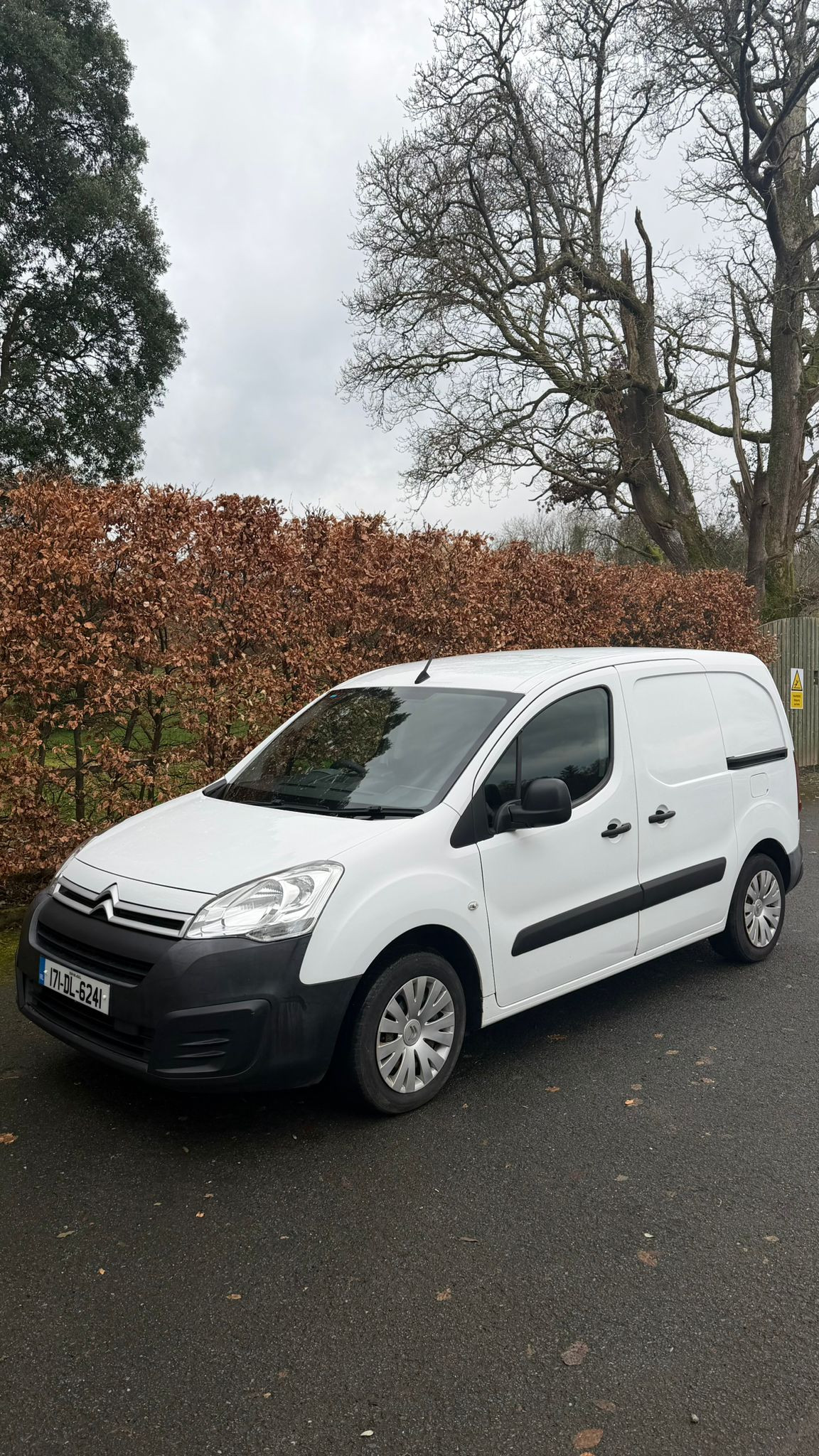 Citreon Berlingo Enterprise 2017