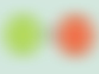 Choosing the Right Vapor Barrier Service in Florida: What Sets Us Apart