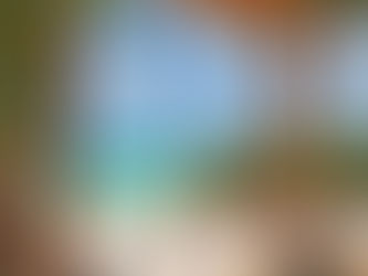 Summer Mobile Home Trends in Florida 2025: Climate Challenges and Smart Solutions for the Sunshine State