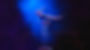 Handstand on Poles
