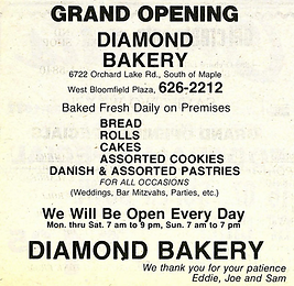 Jewish News ad 11-17-1978-1_edited.png