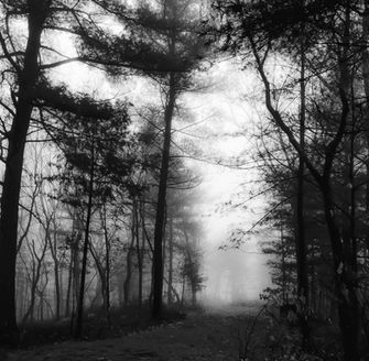 twighlight zone .jpg