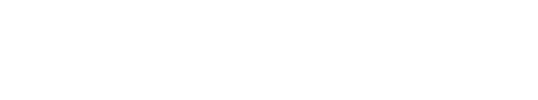 Vibrance Partners logo