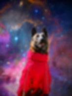 Ruth_in_red_bark_and_rain_jacket_in_the_park_edited_edited.jpg
