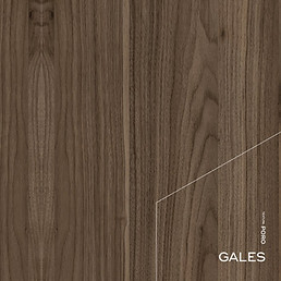02_Color_Gales.jpg