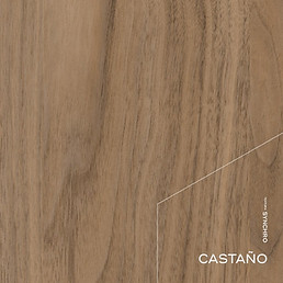 02_Color_Castaño.jpg