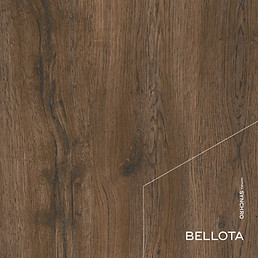 02_Color_Bellota.jpg