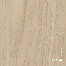 02_Color_Nacar.jpg