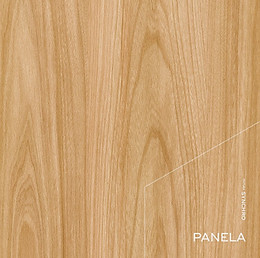 02_Color_Panela.jpg