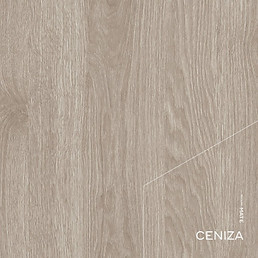 02_Color_Ceniza.jpg