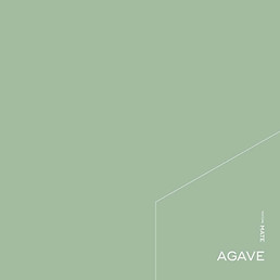 02_Color_Agave.jpg