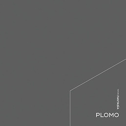 02_Color_Plomo.jpg
