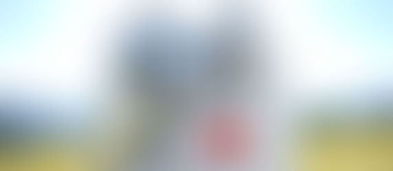 お問合せフォームからご購入いただけます。