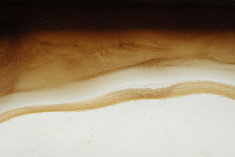 Ink by Jen Herzig Smith. Organic ink process. Photograph, 2020.