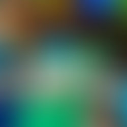 Exercising creativity and critical thinking