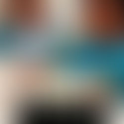 World Braille Day at Sakalya