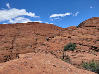 20220529_153710.jpg