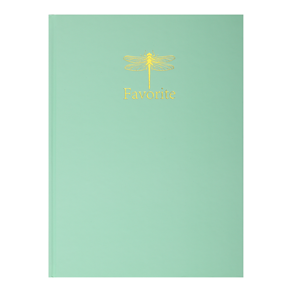 Прев'ю: Канцелярська книга
