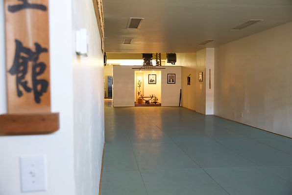 dojo.jpeg