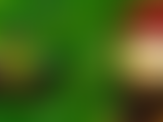 Modern Arab Islamist Theology and a Turning Point: Focusing on the Muslim Brotherhood