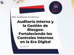 Auditoría Interna y la Gestión de Riesgos: Fortaleciendo los Controles Internos en la Era Digital
