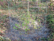 DSCN9059.JPG