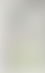 קשור אותי! על חשיבותן של רשתות חברתיות בארגון