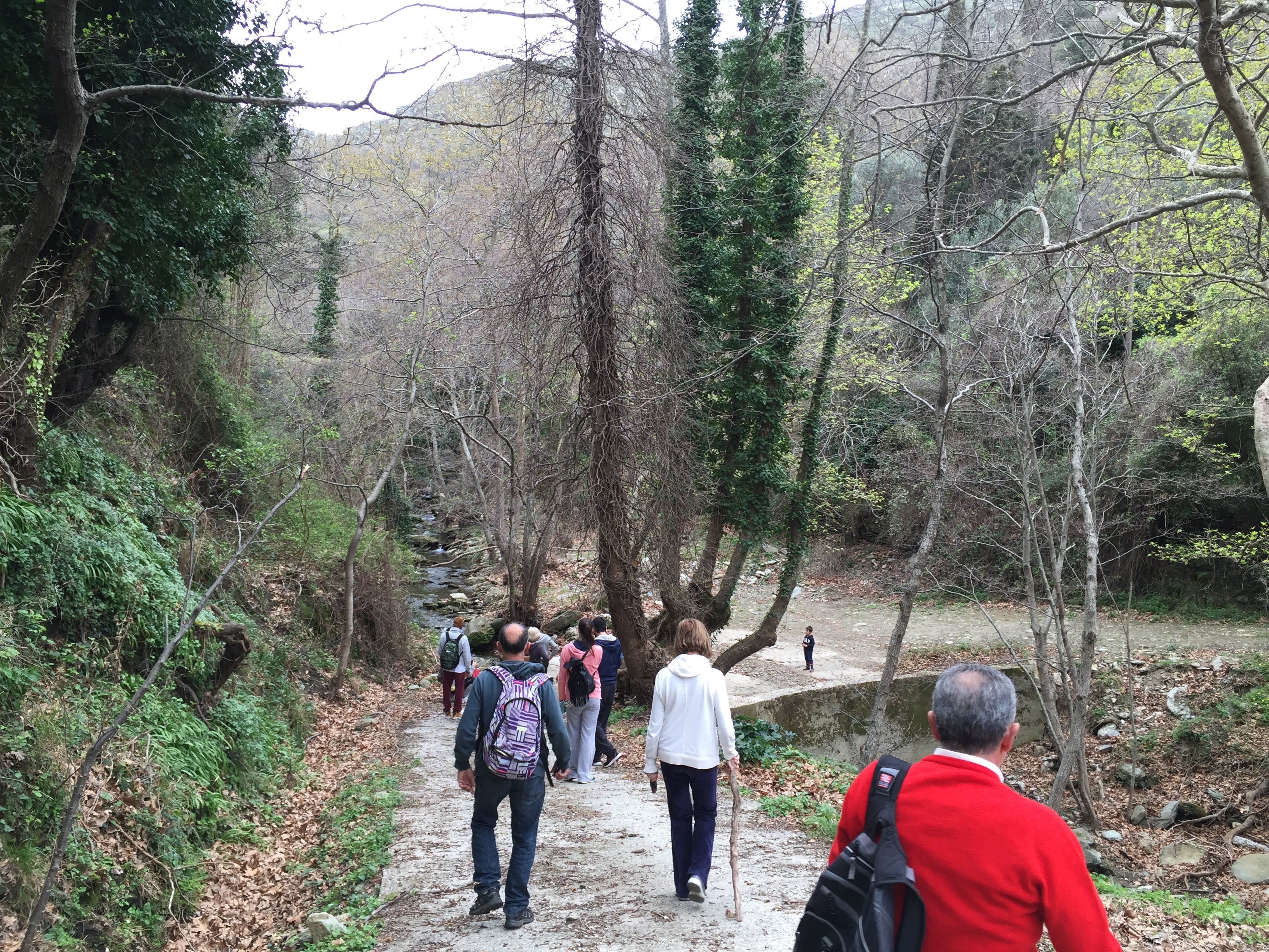 Navigating Paradise: Exploring Tracking Routes in Andros