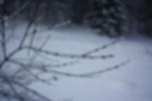 givre