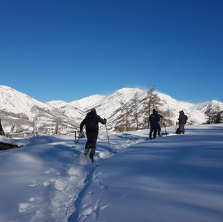 Partir sur les traces du Loup en hiver...