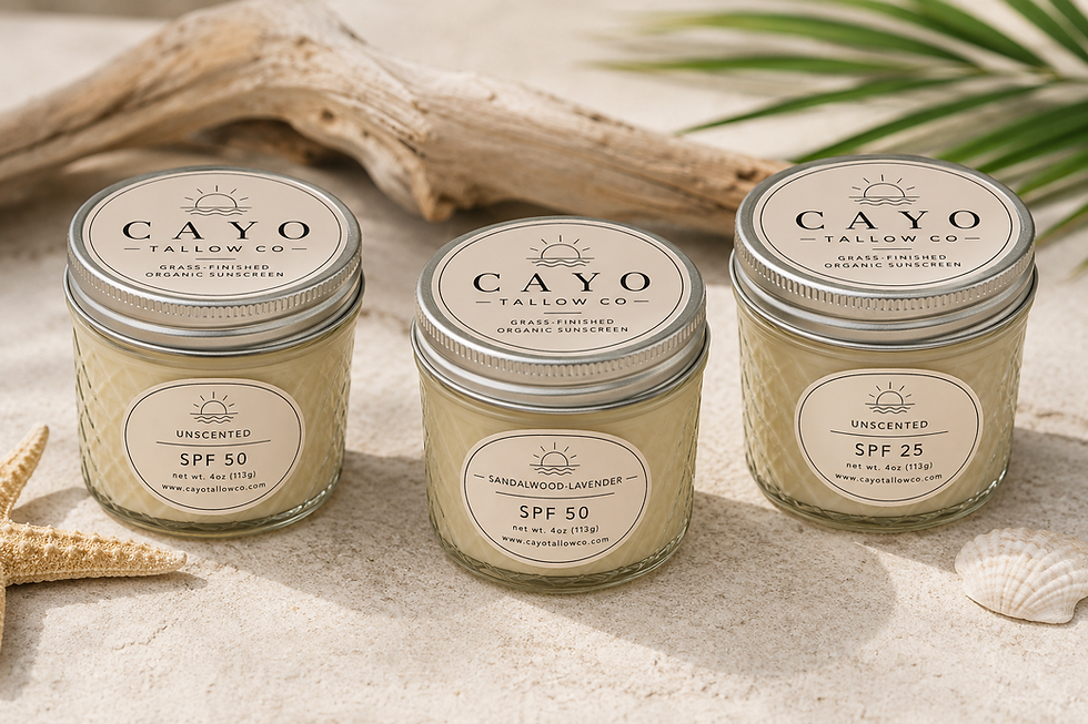 cayo pic.png