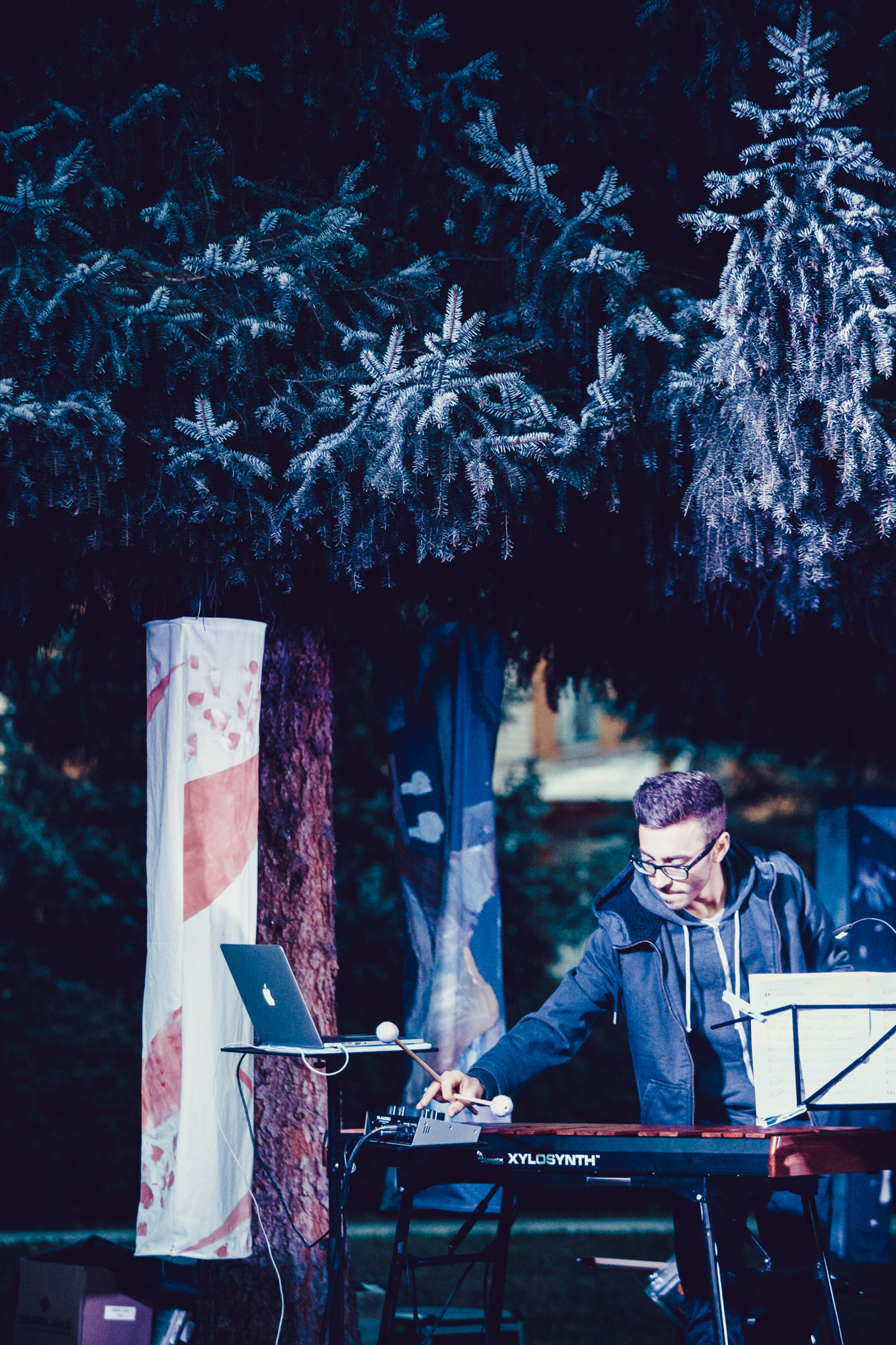 Viva Jazz Forma