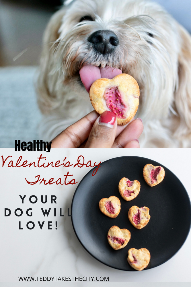 Valentine's Day Heart Shaped Dog Treats