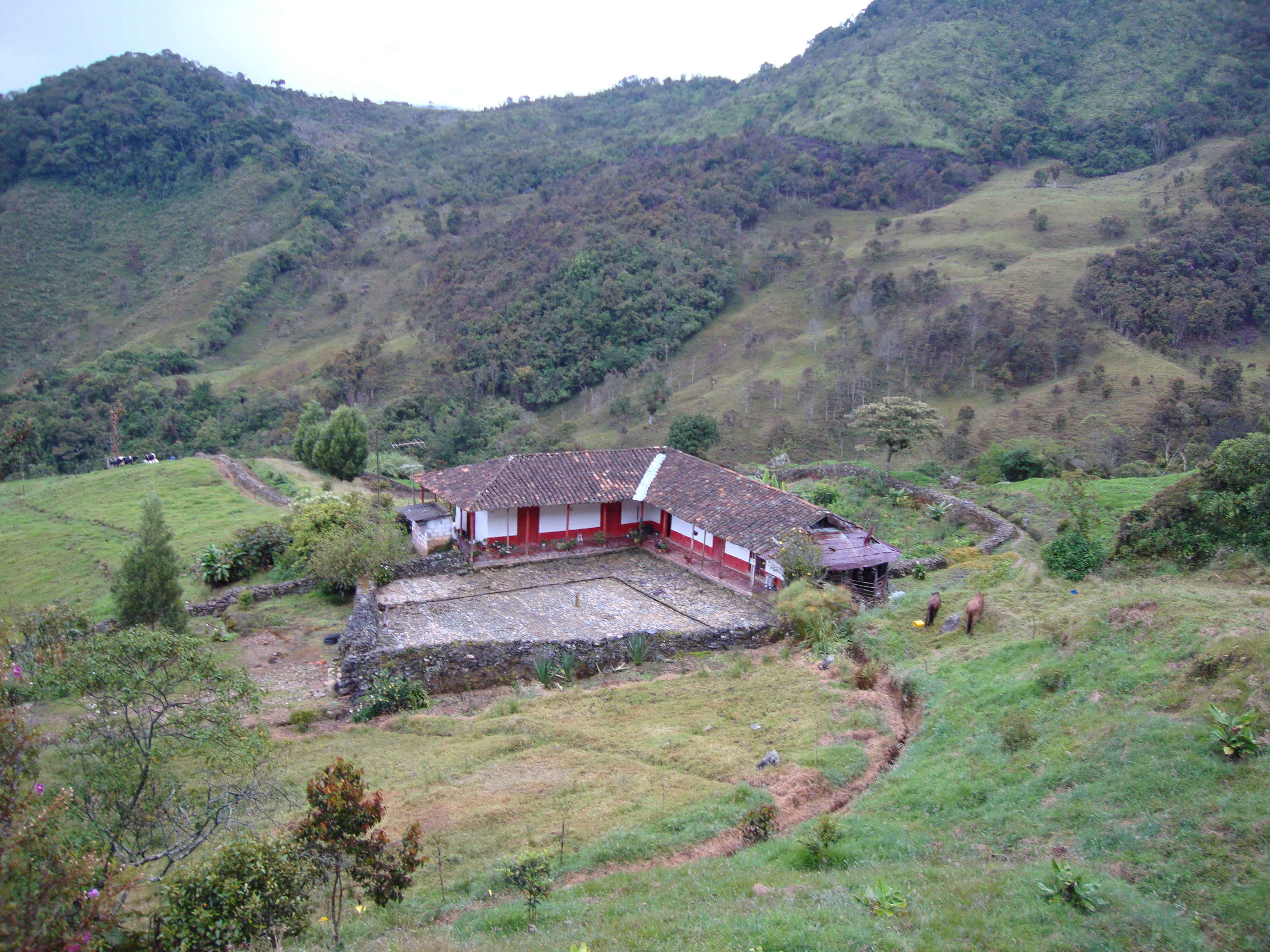 Sede Principal Fundación Guanacas