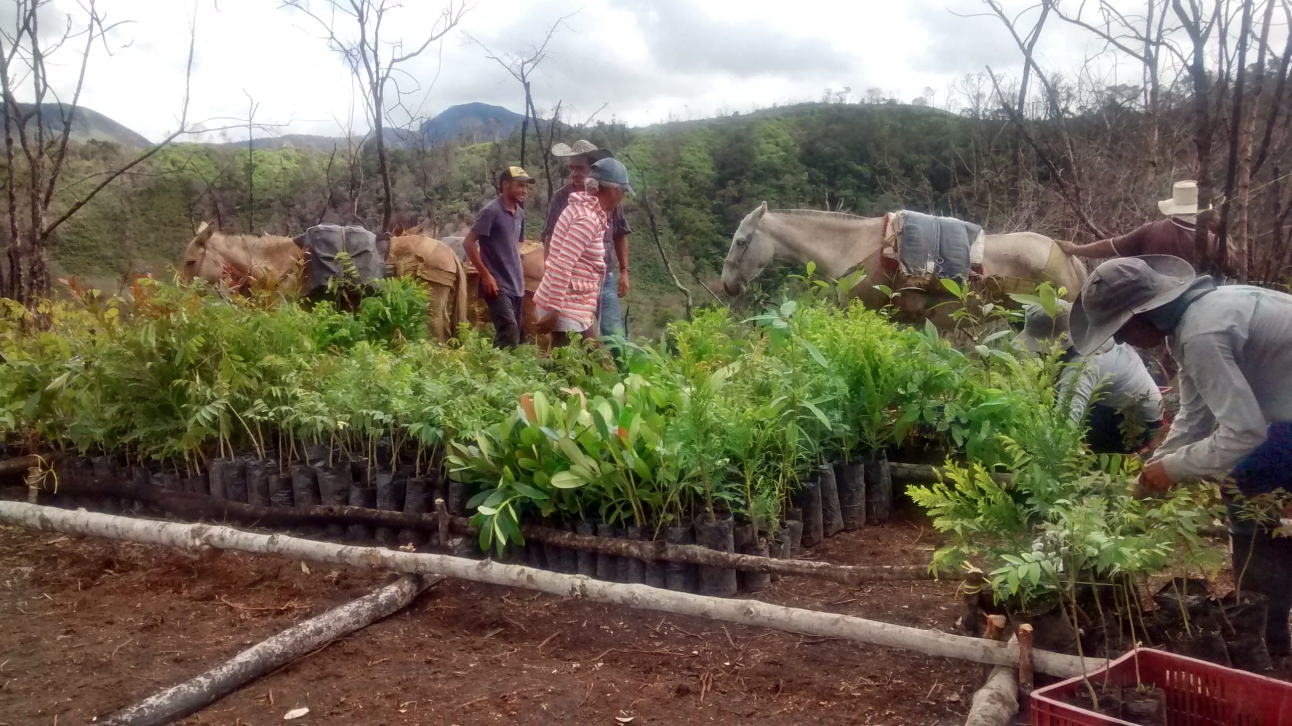 Trabajo con la comunidad