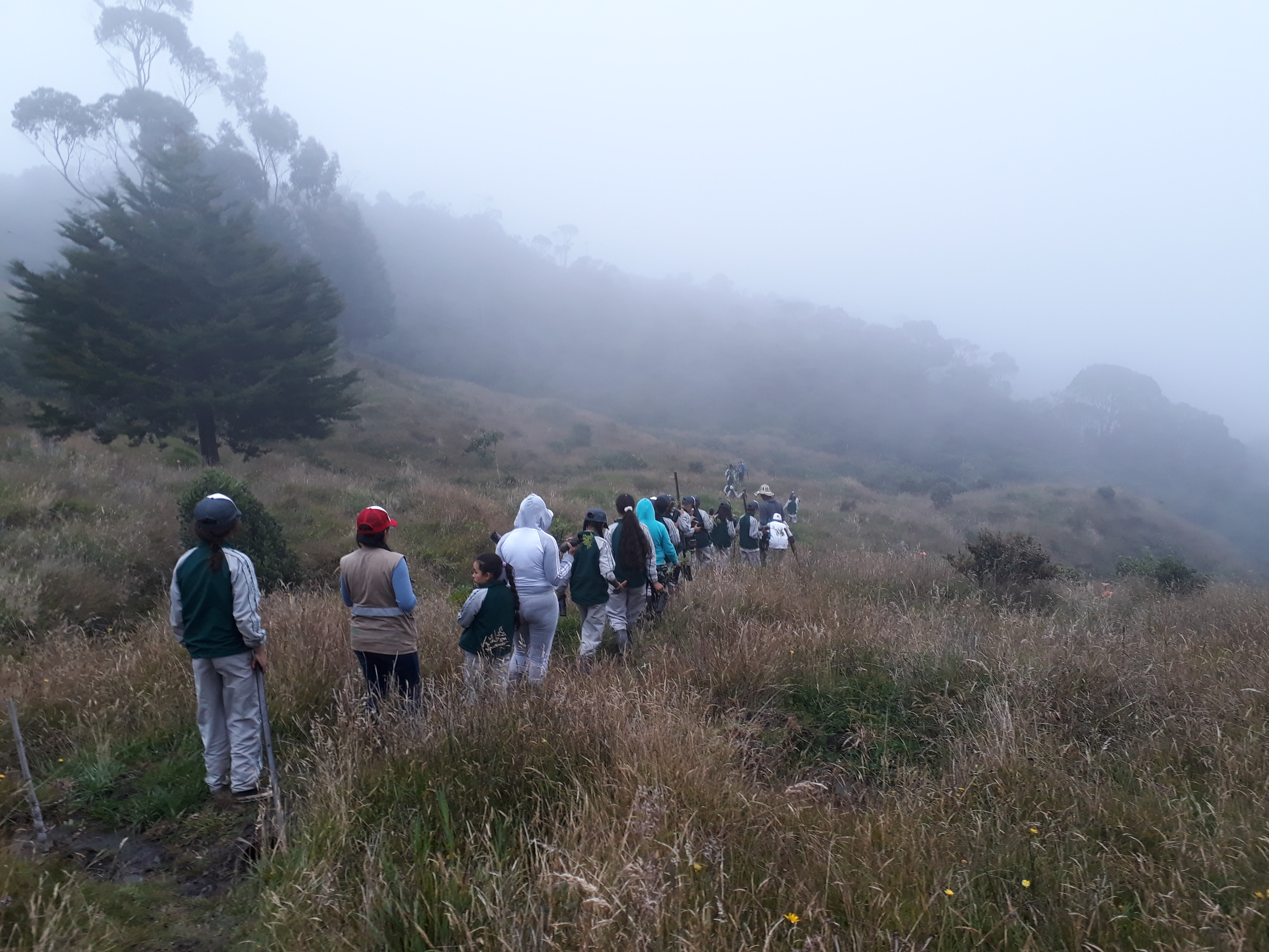 Recorridos de interpretación ambiental