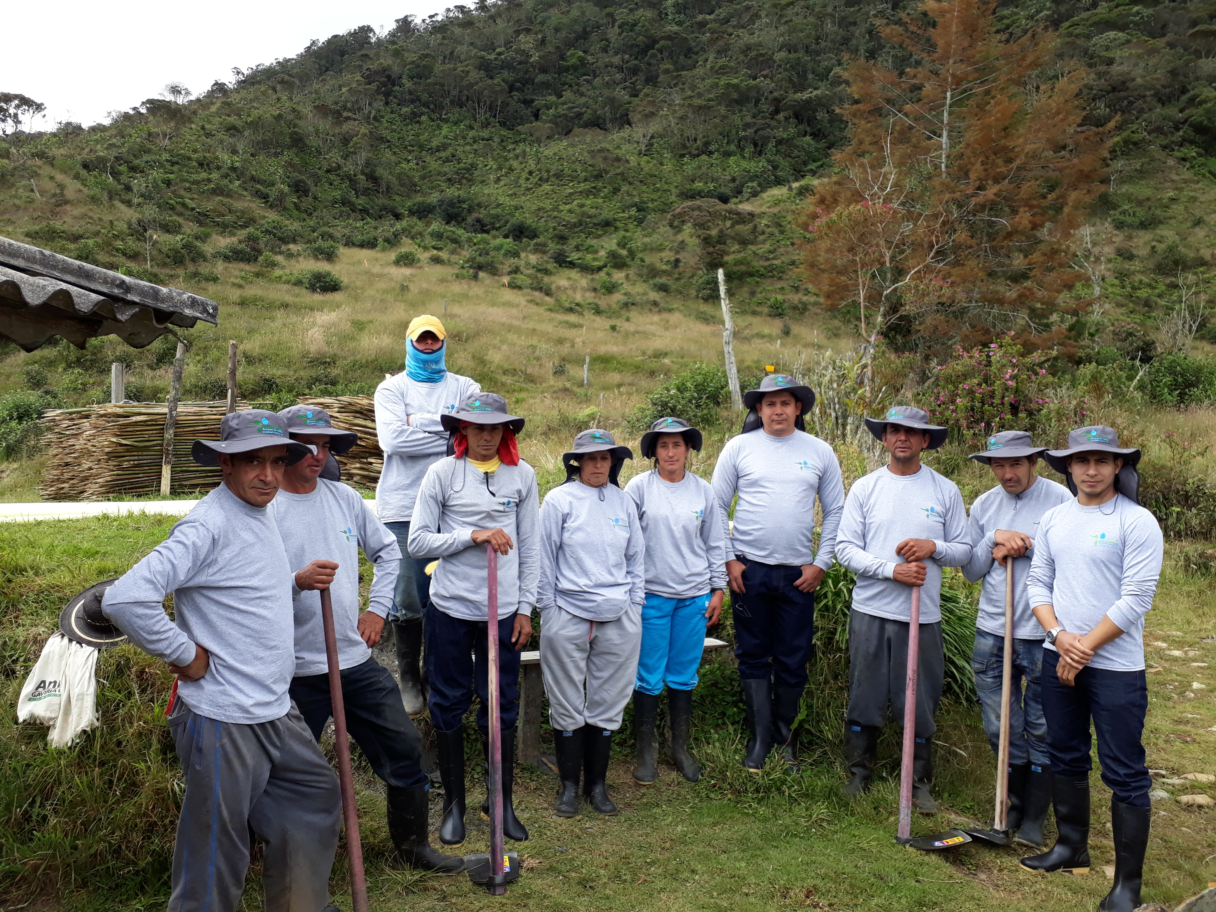Equipo de trabajo