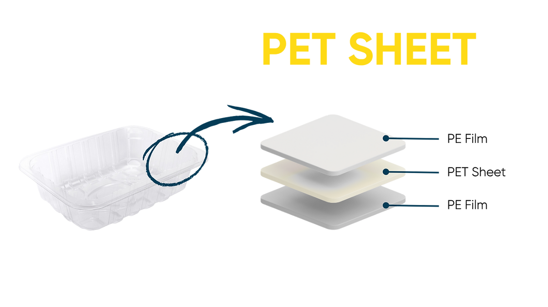 PET SHEET (1).png