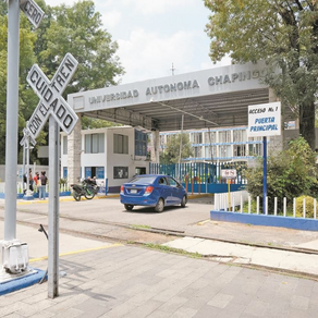 “En un momento, deseé que me mataran”; violan a jovencita adentro de la Universidad de Chapingo