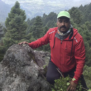 Erradicar tala ilegal y salvar los bosques, los logros de Homero Gómez