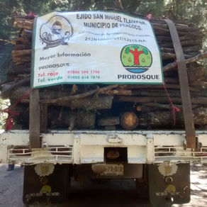 PROBOSQUE trabaja en conjunto con ejidos en plan de Desarrollo Forestal Sustentable en el Tláloc