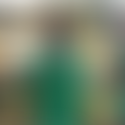 Partido Verde va solo en Estado de México
