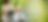 Website header image.png