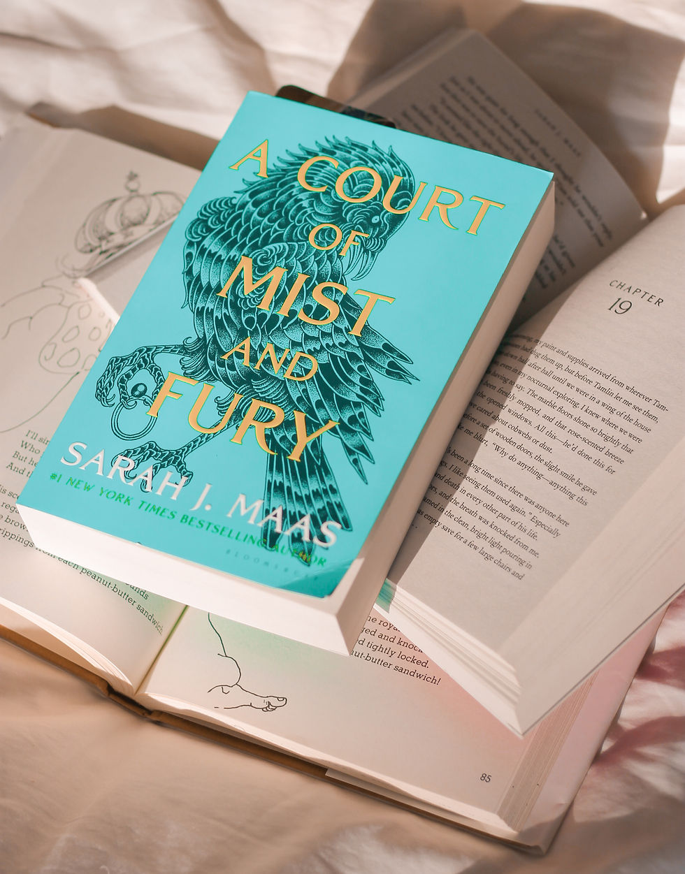 A copy of "A Court of Mist and Fury" by Sarah J. Maas rests atop open books, basking in soft, natural light.