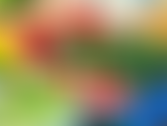 Colorado is suing the USDA for a forced restart of SNAP benefits