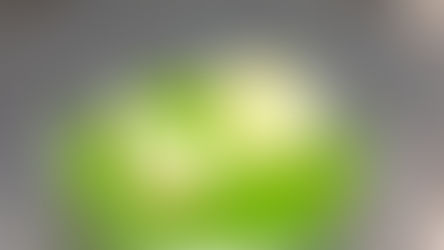 菜の花のラビオリ風